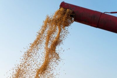 Saldo da Balança Comercial do Maranhão é positivo no 1º semestre de 2025
