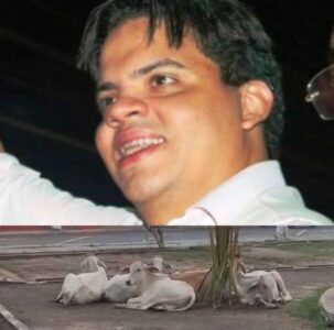 SIMPLES: Luciano não fez e André anuncia medidas para retirar animais das ruas da Cidade de Pinheiro