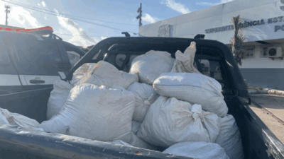 Polícia prende integrantes de quadrilha de roubo de grãos na BR-135