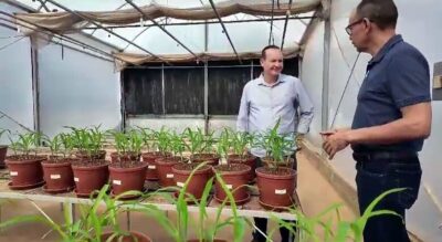Embrapa destaca inovação no Agrobalsas 2025 com apoio do deputado Márcio Honaiser