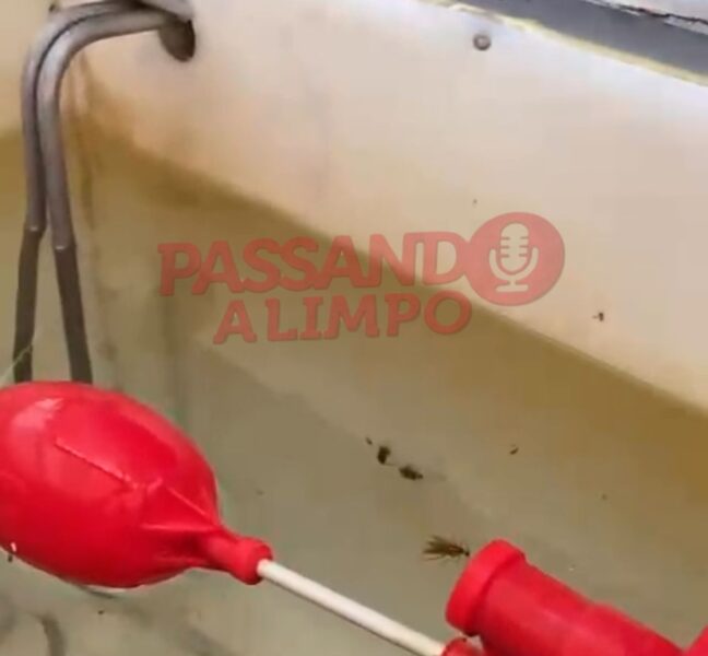 Foto: Reprodução