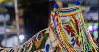 Batizado do Boi Brilho da Terra acontece neste sábado (07)