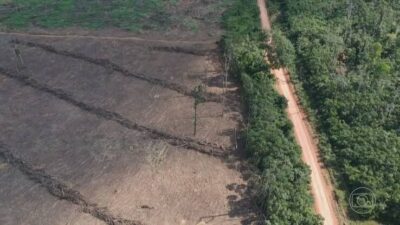 Maranhão lidera ranking de desmatamento no Brasil