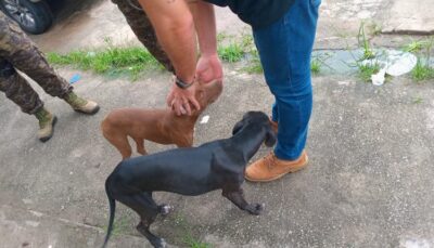 BEM ESTAR ANIMAL: POLÍCIA CIVIL REALIZA AÇÃO DE COMBATE AO CRIME DE MAUS-TRATOS CONTRA ANIMAIS EM SÃO LUÍS