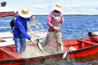 Fraude bilionária: PF, CGU e MPF investigam esquema de falsos pescadores no Maranhão