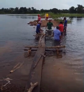 Moradores da zona rural de Palmeirândia constroem pontes improvisadas para sobreviver ao abandono da gestão Edilson da Alvorada.