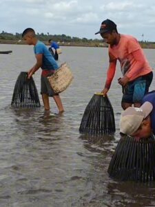 Fraude bilionária no seguro defeso escancara esquema de pescadores fantasmas no Maranhão.