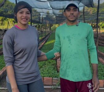 Horta Ouro Verde: Tradição, trabalho e produtos saudáveis há mais de 30 anos