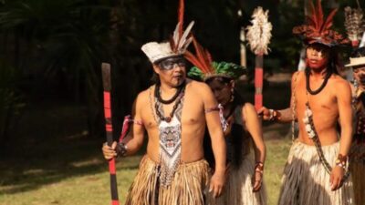 Operação tenta expulsar invasores da terra indígena Arariboia