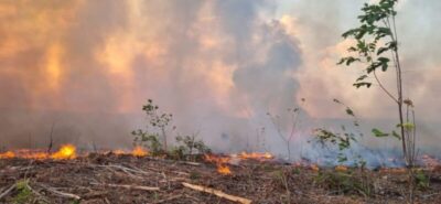 Suzano intensifica ações de prevenção e uso de tecnologia no combate a incêndios florestais