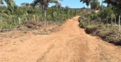 Judiciário realiza leilão de fazenda em Joselândia avaliada em R$ 326,9 mil