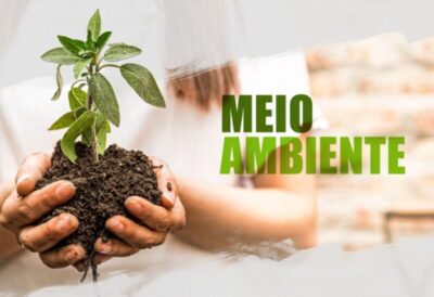Mantida condenação de cooperativa por danos ao meio ambiente