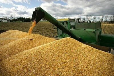 Maranhão lidera produção de milho no Nordeste e desponta no agronegócio nacional, aponta Etene