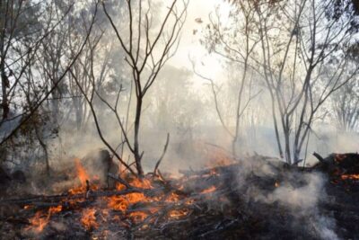 Tribunal Internacional reconhece ameaça existencial das mudanças climáticas em parecer histórico