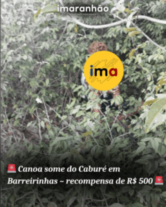 Crianças são flagradas atirando pedras e tentando abordar carros de Turismo no Povoado Cantinho, em Barreirinhas