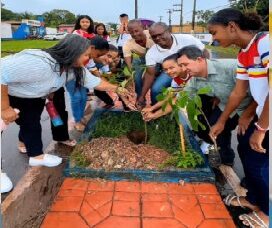 Prefeitura de Bequimão promove plantio de mudas e ações de educação ambiental