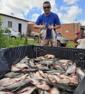 Prefeito Cesar Castro, realiza entrega de 7,5 toneladas de Peixes e cestas básicas a população de Cachoeira Grande