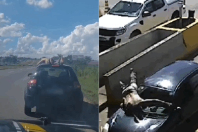 Homem é flagrado deitado no teto de carro a 100 km/h