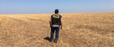 Começa nesta quinta-feira o vazio sanitário da soja para a região Sul do Maranhão