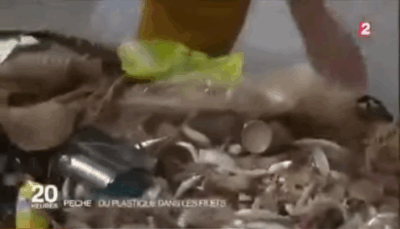 Vídeo desmascara presidente Macron e toda hipocrisia comunista…