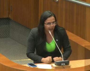 Ana do Gás revela que recebeu proposta para votar contra Iracema