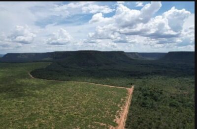 DIA DO MEIO AMBIENTE/IPAM calcula risco climático de propriedades rurais, veja como participar