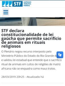 Maus tratos de animais e “clima de violência”…