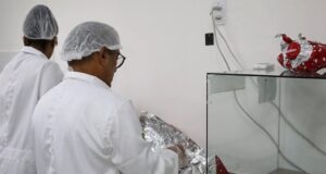 INMEQ intensifica fiscalização na Páscoa e orienta consumidores sobre compras seguras