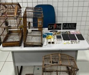 Preso suspeito de tráfico de drogas e crime ambiental na zona rural de São Luís