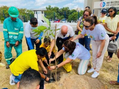 Plantio de mudas de árvores marca abertura do Setembro Amarelo