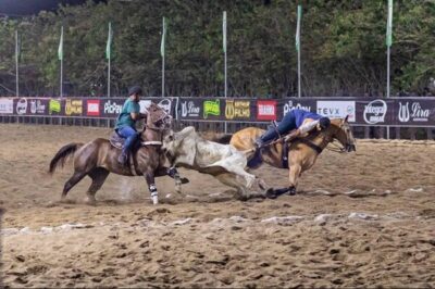 Governo permite apostas em animais, incluindo vaquejada e corrida de cavalo