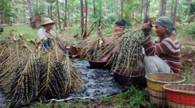 Maranhão concentra três das Unidades de Conservação mais populosas do país