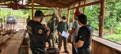Operação KAMBAÍ combate crime de extração ilegal, receptação e comércio de madeira e produtos florestais da Terra Indígena Arariboia