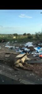 Espetáculo do Dia dos Pais: o “lixo do luxo” que custa caro ao morador de Paço do Lumiar