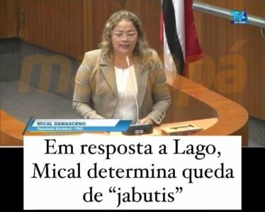 Deputada denuncia ação “machista” de “paus mandados” que teriam tentado impedir a representatividade feminina na política do Maranhão…