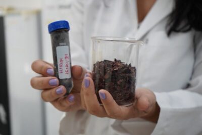 Projeto do Curso de Nutrição propõe bebida probiótica de Hibisco