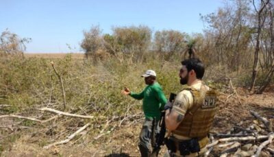 Operação Protetor dos Biomas: Polícia civil realiza vistorias em áreas de preservação ambiental no interior do Maranhão
