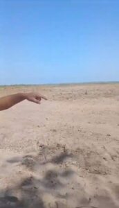 Destruição: Morador de Urbano Santos, próximo de Barreirinhas, grava vídeo sobre a ameaça que ronda a região dos Lençóis Maranhenses….