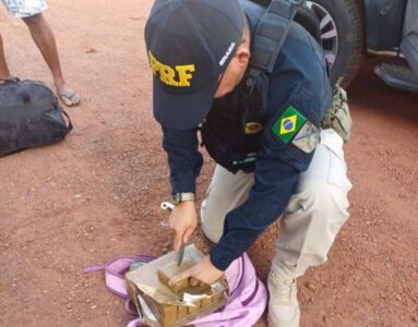 Mais de 10 kg de droga vindos de SP são apreendidos em ônibus de viagem