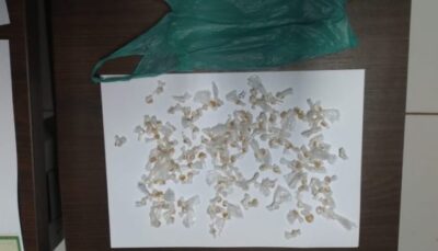 Polícia civil prende duas mulheres por tráfico de drogas e associação criminosa em Bom Jardim