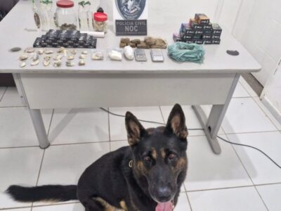 POLÍCIA CIVIL CUMPRE TRÊS MANDADOS DE BUSCA E APREENSÃO NA CAPITAL; DOIS INDIVÍDUOS FORAM PRESOS POR TRÁFICO DE DROGAS E PORTE ILEGAL DE ARMA DE FOGO