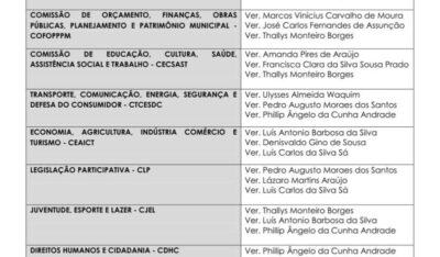 Blog Do Ribinha: Composição: Saiba quem são os vereadores eleitos e as comissões onde eles atuarão na Câmara de Timon