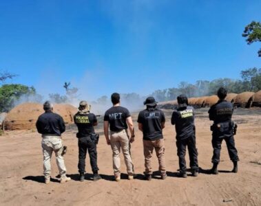 PF combate trabalho análogo à escravidão no MA