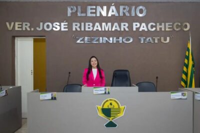 Vereadora Diana Silva tem requerimento aprovado para revitalização da Avenida Aeroporto no bairro Agrovema