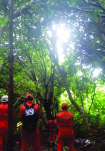 Desce daí! Corpo de Bombeiros tenta resgatar homem encontrado em cima de árvore em Salvador; rapaz estava desaparecido há dois meses