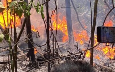 Avião de pequeno porte cai em Rio Branco, capital do Acre, explode e doze pessoas morrem carbonizadas, neste domingo (29)