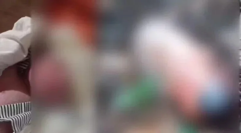 Foto: Reprodução