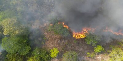 Arco da Restauração no AM vai receber projetos de reparação ecológica
