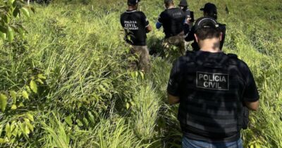 POLÍCIA CIVIL DO MARANHÃO EFETUA PRISÕES E DESTRÓI ROÇA COM 10 MIL PÉS DE MACONHA.