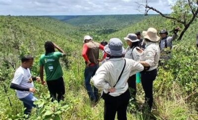 Preservação ambiental com inclusão e força na geração de emprego são motivos de orgulho para o Maranhão